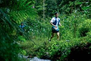 BIB: 
                            <button type="button" onclick="openModal(26475208)" class="btn btn-primary btn-sm float-right btn-popup" data-toggle="modal" data-target=".modal-high-quality">
                        <i class="fas fa-shopping-cart"></i> Add to Cart
                    </button>
                                            <button type="button" onclick="isThisMe(26475208, true)" class="btn btn-success btn-sm float-right btn-popup btn-isme hidden" data-toggle="tooltip" data-placement="bottom" title="นี่คือรูปของคุณใช่ไหม คลิกที่นี่เพื่อเอาเข้าอัลบั้ม">
                        <i class="fas fa-plus"></i> Add to album
                    </button>
                    <button type="button" onclick="isThisMe(26475208, false)" class="btn btn-warning btn-sm float-right btn-popup btn-isnotme hidden">
                        <i class="fas fa-ban"></i> Remove from album
                    </button>