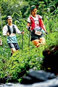 BIB: 
                            <button type="button" onclick="openModal(26487639)" class="btn btn-primary btn-sm float-right btn-popup" data-toggle="modal" data-target=".modal-high-quality">
                        <i class="fas fa-shopping-cart"></i> Add to Cart
                    </button>
                                            <button type="button" onclick="isThisMe(26487639, true)" class="btn btn-success btn-sm float-right btn-popup btn-isme hidden" data-toggle="tooltip" data-placement="bottom" title="นี่คือรูปของคุณใช่ไหม คลิกที่นี่เพื่อเอาเข้าอัลบั้ม">
                        <i class="fas fa-plus"></i> Add to album
                    </button>
                    <button type="button" onclick="isThisMe(26487639, false)" class="btn btn-warning btn-sm float-right btn-popup btn-isnotme hidden">
                        <i class="fas fa-ban"></i> Remove from album
                    </button>