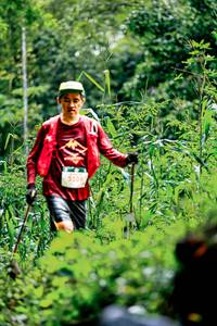 BIB: 
                            <button type="button" onclick="openModal(26488263)" class="btn btn-primary btn-sm float-right btn-popup" data-toggle="modal" data-target=".modal-high-quality">
                        <i class="fas fa-shopping-cart"></i> Add to Cart
                    </button>
                                            <button type="button" onclick="isThisMe(26488263, true)" class="btn btn-success btn-sm float-right btn-popup btn-isme hidden" data-toggle="tooltip" data-placement="bottom" title="นี่คือรูปของคุณใช่ไหม คลิกที่นี่เพื่อเอาเข้าอัลบั้ม">
                        <i class="fas fa-plus"></i> Add to album
                    </button>
                    <button type="button" onclick="isThisMe(26488263, false)" class="btn btn-warning btn-sm float-right btn-popup btn-isnotme hidden">
                        <i class="fas fa-ban"></i> Remove from album
                    </button>