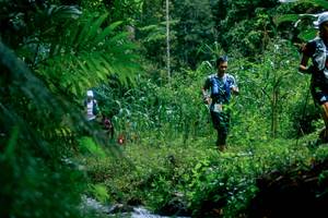 BIB: 
                            <button type="button" onclick="openModal(26475143)" class="btn btn-primary btn-sm float-right btn-popup" data-toggle="modal" data-target=".modal-high-quality">
                        <i class="fas fa-shopping-cart"></i> Add to Cart
                    </button>
                                            <button type="button" onclick="isThisMe(26475143, true)" class="btn btn-success btn-sm float-right btn-popup btn-isme hidden" data-toggle="tooltip" data-placement="bottom" title="นี่คือรูปของคุณใช่ไหม คลิกที่นี่เพื่อเอาเข้าอัลบั้ม">
                        <i class="fas fa-plus"></i> Add to album
                    </button>
                    <button type="button" onclick="isThisMe(26475143, false)" class="btn btn-warning btn-sm float-right btn-popup btn-isnotme hidden">
                        <i class="fas fa-ban"></i> Remove from album
                    </button>