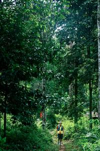 BIB: 
                            <button type="button" onclick="openModal(26493749)" class="btn btn-primary btn-sm float-right btn-popup" data-toggle="modal" data-target=".modal-high-quality">
                        <i class="fas fa-shopping-cart"></i> Add to Cart
                    </button>
                                            <button type="button" onclick="isThisMe(26493749, true)" class="btn btn-success btn-sm float-right btn-popup btn-isme hidden" data-toggle="tooltip" data-placement="bottom" title="นี่คือรูปของคุณใช่ไหม คลิกที่นี่เพื่อเอาเข้าอัลบั้ม">
                        <i class="fas fa-plus"></i> Add to album
                    </button>
                    <button type="button" onclick="isThisMe(26493749, false)" class="btn btn-warning btn-sm float-right btn-popup btn-isnotme hidden">
                        <i class="fas fa-ban"></i> Remove from album
                    </button>