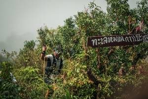 BIB: 
                            <button type="button" onclick="openModal(26334485)" class="btn btn-primary btn-sm float-right btn-popup" data-toggle="modal" data-target=".modal-high-quality">
                        <i class="fas fa-shopping-cart"></i> Add to Cart
                    </button>
                                            <button type="button" onclick="isThisMe(26334485, true)" class="btn btn-success btn-sm float-right btn-popup btn-isme hidden" data-toggle="tooltip" data-placement="bottom" title="นี่คือรูปของคุณใช่ไหม คลิกที่นี่เพื่อเอาเข้าอัลบั้ม">
                        <i class="fas fa-plus"></i> Add to album
                    </button>
                    <button type="button" onclick="isThisMe(26334485, false)" class="btn btn-warning btn-sm float-right btn-popup btn-isnotme hidden">
                        <i class="fas fa-ban"></i> Remove from album
                    </button>