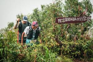 BIB: 
                            <button type="button" onclick="openModal(26335182)" class="btn btn-primary btn-sm float-right btn-popup" data-toggle="modal" data-target=".modal-high-quality">
                        <i class="fas fa-shopping-cart"></i> Add to Cart
                    </button>
                                            <button type="button" onclick="isThisMe(26335182, true)" class="btn btn-success btn-sm float-right btn-popup btn-isme hidden" data-toggle="tooltip" data-placement="bottom" title="นี่คือรูปของคุณใช่ไหม คลิกที่นี่เพื่อเอาเข้าอัลบั้ม">
                        <i class="fas fa-plus"></i> Add to album
                    </button>
                    <button type="button" onclick="isThisMe(26335182, false)" class="btn btn-warning btn-sm float-right btn-popup btn-isnotme hidden">
                        <i class="fas fa-ban"></i> Remove from album
                    </button>