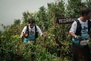 BIB: 
                            <button type="button" onclick="openModal(26334529)" class="btn btn-primary btn-sm float-right btn-popup" data-toggle="modal" data-target=".modal-high-quality">
                        <i class="fas fa-shopping-cart"></i> Add to Cart
                    </button>
                                            <button type="button" onclick="isThisMe(26334529, true)" class="btn btn-success btn-sm float-right btn-popup btn-isme hidden" data-toggle="tooltip" data-placement="bottom" title="นี่คือรูปของคุณใช่ไหม คลิกที่นี่เพื่อเอาเข้าอัลบั้ม">
                        <i class="fas fa-plus"></i> Add to album
                    </button>
                    <button type="button" onclick="isThisMe(26334529, false)" class="btn btn-warning btn-sm float-right btn-popup btn-isnotme hidden">
                        <i class="fas fa-ban"></i> Remove from album
                    </button>