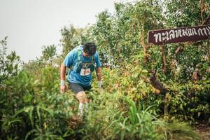 BIB: 
                            <button type="button" onclick="openModal(26335230)" class="btn btn-primary btn-sm float-right btn-popup" data-toggle="modal" data-target=".modal-high-quality">
                        <i class="fas fa-shopping-cart"></i> Add to Cart
                    </button>
                                            <button type="button" onclick="isThisMe(26335230, true)" class="btn btn-success btn-sm float-right btn-popup btn-isme hidden" data-toggle="tooltip" data-placement="bottom" title="นี่คือรูปของคุณใช่ไหม คลิกที่นี่เพื่อเอาเข้าอัลบั้ม">
                        <i class="fas fa-plus"></i> Add to album
                    </button>
                    <button type="button" onclick="isThisMe(26335230, false)" class="btn btn-warning btn-sm float-right btn-popup btn-isnotme hidden">
                        <i class="fas fa-ban"></i> Remove from album
                    </button>