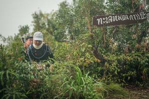 BIB: 
                            <button type="button" onclick="openModal(26335036)" class="btn btn-primary btn-sm float-right btn-popup" data-toggle="modal" data-target=".modal-high-quality">
                        <i class="fas fa-shopping-cart"></i> Add to Cart
                    </button>
                                            <button type="button" onclick="isThisMe(26335036, true)" class="btn btn-success btn-sm float-right btn-popup btn-isme hidden" data-toggle="tooltip" data-placement="bottom" title="นี่คือรูปของคุณใช่ไหม คลิกที่นี่เพื่อเอาเข้าอัลบั้ม">
                        <i class="fas fa-plus"></i> Add to album
                    </button>
                    <button type="button" onclick="isThisMe(26335036, false)" class="btn btn-warning btn-sm float-right btn-popup btn-isnotme hidden">
                        <i class="fas fa-ban"></i> Remove from album
                    </button>