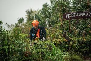 BIB: 
                            <button type="button" onclick="openModal(26334869)" class="btn btn-primary btn-sm float-right btn-popup" data-toggle="modal" data-target=".modal-high-quality">
                        <i class="fas fa-shopping-cart"></i> Add to Cart
                    </button>
                                            <button type="button" onclick="isThisMe(26334869, true)" class="btn btn-success btn-sm float-right btn-popup btn-isme hidden" data-toggle="tooltip" data-placement="bottom" title="นี่คือรูปของคุณใช่ไหม คลิกที่นี่เพื่อเอาเข้าอัลบั้ม">
                        <i class="fas fa-plus"></i> Add to album
                    </button>
                    <button type="button" onclick="isThisMe(26334869, false)" class="btn btn-warning btn-sm float-right btn-popup btn-isnotme hidden">
                        <i class="fas fa-ban"></i> Remove from album
                    </button>