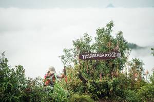 BIB: 
                            <button type="button" onclick="openModal(26325753)" class="btn btn-primary btn-sm float-right btn-popup" data-toggle="modal" data-target=".modal-high-quality">
                        <i class="fas fa-shopping-cart"></i> Add to Cart
                    </button>
                                            <button type="button" onclick="isThisMe(26325753, true)" class="btn btn-success btn-sm float-right btn-popup btn-isme hidden" data-toggle="tooltip" data-placement="bottom" title="นี่คือรูปของคุณใช่ไหม คลิกที่นี่เพื่อเอาเข้าอัลบั้ม">
                        <i class="fas fa-plus"></i> Add to album
                    </button>
                    <button type="button" onclick="isThisMe(26325753, false)" class="btn btn-warning btn-sm float-right btn-popup btn-isnotme hidden">
                        <i class="fas fa-ban"></i> Remove from album
                    </button>