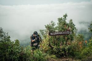 BIB: 
                            <button type="button" onclick="openModal(26333745)" class="btn btn-primary btn-sm float-right btn-popup" data-toggle="modal" data-target=".modal-high-quality">
                        <i class="fas fa-shopping-cart"></i> Add to Cart
                    </button>
                                            <button type="button" onclick="isThisMe(26333745, true)" class="btn btn-success btn-sm float-right btn-popup btn-isme hidden" data-toggle="tooltip" data-placement="bottom" title="นี่คือรูปของคุณใช่ไหม คลิกที่นี่เพื่อเอาเข้าอัลบั้ม">
                        <i class="fas fa-plus"></i> Add to album
                    </button>
                    <button type="button" onclick="isThisMe(26333745, false)" class="btn btn-warning btn-sm float-right btn-popup btn-isnotme hidden">
                        <i class="fas fa-ban"></i> Remove from album
                    </button>