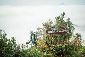 BIB: 
                            <button type="button" onclick="openModal(26325716)" class="btn btn-primary btn-sm float-right btn-popup" data-toggle="modal" data-target=".modal-high-quality">
                        <i class="fas fa-shopping-cart"></i> Add to Cart
                    </button>
                                            <button type="button" onclick="isThisMe(26325716, true)" class="btn btn-success btn-sm float-right btn-popup btn-isme hidden" data-toggle="tooltip" data-placement="bottom" title="นี่คือรูปของคุณใช่ไหม คลิกที่นี่เพื่อเอาเข้าอัลบั้ม">
                        <i class="fas fa-plus"></i> Add to album
                    </button>
                    <button type="button" onclick="isThisMe(26325716, false)" class="btn btn-warning btn-sm float-right btn-popup btn-isnotme hidden">
                        <i class="fas fa-ban"></i> Remove from album
                    </button>