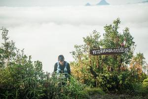 BIB: 
                            <button type="button" onclick="openModal(26323861)" class="btn btn-primary btn-sm float-right btn-popup" data-toggle="modal" data-target=".modal-high-quality">
                        <i class="fas fa-shopping-cart"></i> Add to Cart
                    </button>
                                            <button type="button" onclick="isThisMe(26323861, true)" class="btn btn-success btn-sm float-right btn-popup btn-isme hidden" data-toggle="tooltip" data-placement="bottom" title="นี่คือรูปของคุณใช่ไหม คลิกที่นี่เพื่อเอาเข้าอัลบั้ม">
                        <i class="fas fa-plus"></i> Add to album
                    </button>
                    <button type="button" onclick="isThisMe(26323861, false)" class="btn btn-warning btn-sm float-right btn-popup btn-isnotme hidden">
                        <i class="fas fa-ban"></i> Remove from album
                    </button>