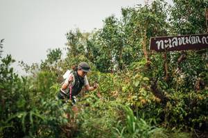 BIB: 
                            <button type="button" onclick="openModal(26334790)" class="btn btn-primary btn-sm float-right btn-popup" data-toggle="modal" data-target=".modal-high-quality">
                        <i class="fas fa-shopping-cart"></i> Add to Cart
                    </button>
                                            <button type="button" onclick="isThisMe(26334790, true)" class="btn btn-success btn-sm float-right btn-popup btn-isme hidden" data-toggle="tooltip" data-placement="bottom" title="นี่คือรูปของคุณใช่ไหม คลิกที่นี่เพื่อเอาเข้าอัลบั้ม">
                        <i class="fas fa-plus"></i> Add to album
                    </button>
                    <button type="button" onclick="isThisMe(26334790, false)" class="btn btn-warning btn-sm float-right btn-popup btn-isnotme hidden">
                        <i class="fas fa-ban"></i> Remove from album
                    </button>