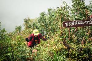 BIB: 
                            <button type="button" onclick="openModal(26335248)" class="btn btn-primary btn-sm float-right btn-popup" data-toggle="modal" data-target=".modal-high-quality">
                        <i class="fas fa-shopping-cart"></i> Add to Cart
                    </button>
                                            <button type="button" onclick="isThisMe(26335248, true)" class="btn btn-success btn-sm float-right btn-popup btn-isme hidden" data-toggle="tooltip" data-placement="bottom" title="นี่คือรูปของคุณใช่ไหม คลิกที่นี่เพื่อเอาเข้าอัลบั้ม">
                        <i class="fas fa-plus"></i> Add to album
                    </button>
                    <button type="button" onclick="isThisMe(26335248, false)" class="btn btn-warning btn-sm float-right btn-popup btn-isnotme hidden">
                        <i class="fas fa-ban"></i> Remove from album
                    </button>