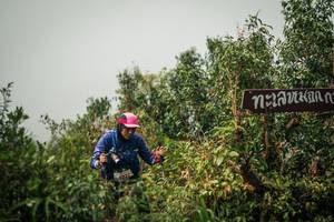 BIB: 
                            <button type="button" onclick="openModal(26334575)" class="btn btn-primary btn-sm float-right btn-popup" data-toggle="modal" data-target=".modal-high-quality">
                        <i class="fas fa-shopping-cart"></i> Add to Cart
                    </button>
                                            <button type="button" onclick="isThisMe(26334575, true)" class="btn btn-success btn-sm float-right btn-popup btn-isme hidden" data-toggle="tooltip" data-placement="bottom" title="นี่คือรูปของคุณใช่ไหม คลิกที่นี่เพื่อเอาเข้าอัลบั้ม">
                        <i class="fas fa-plus"></i> Add to album
                    </button>
                    <button type="button" onclick="isThisMe(26334575, false)" class="btn btn-warning btn-sm float-right btn-popup btn-isnotme hidden">
                        <i class="fas fa-ban"></i> Remove from album
                    </button>