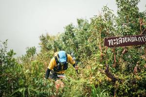 BIB: 
                            <button type="button" onclick="openModal(26335288)" class="btn btn-primary btn-sm float-right btn-popup" data-toggle="modal" data-target=".modal-high-quality">
                        <i class="fas fa-shopping-cart"></i> Add to Cart
                    </button>
                                            <button type="button" onclick="isThisMe(26335288, true)" class="btn btn-success btn-sm float-right btn-popup btn-isme hidden" data-toggle="tooltip" data-placement="bottom" title="นี่คือรูปของคุณใช่ไหม คลิกที่นี่เพื่อเอาเข้าอัลบั้ม">
                        <i class="fas fa-plus"></i> Add to album
                    </button>
                    <button type="button" onclick="isThisMe(26335288, false)" class="btn btn-warning btn-sm float-right btn-popup btn-isnotme hidden">
                        <i class="fas fa-ban"></i> Remove from album
                    </button>