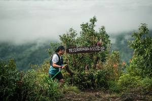 BIB: 
                            <button type="button" onclick="openModal(26332890)" class="btn btn-primary btn-sm float-right btn-popup" data-toggle="modal" data-target=".modal-high-quality">
                        <i class="fas fa-shopping-cart"></i> Add to Cart
                    </button>
                                            <button type="button" onclick="isThisMe(26332890, true)" class="btn btn-success btn-sm float-right btn-popup btn-isme hidden" data-toggle="tooltip" data-placement="bottom" title="นี่คือรูปของคุณใช่ไหม คลิกที่นี่เพื่อเอาเข้าอัลบั้ม">
                        <i class="fas fa-plus"></i> Add to album
                    </button>
                    <button type="button" onclick="isThisMe(26332890, false)" class="btn btn-warning btn-sm float-right btn-popup btn-isnotme hidden">
                        <i class="fas fa-ban"></i> Remove from album
                    </button>