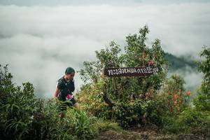 BIB: 
                            <button type="button" onclick="openModal(26329655)" class="btn btn-primary btn-sm float-right btn-popup" data-toggle="modal" data-target=".modal-high-quality">
                        <i class="fas fa-shopping-cart"></i> Add to Cart
                    </button>
                                            <button type="button" onclick="isThisMe(26329655, true)" class="btn btn-success btn-sm float-right btn-popup btn-isme hidden" data-toggle="tooltip" data-placement="bottom" title="นี่คือรูปของคุณใช่ไหม คลิกที่นี่เพื่อเอาเข้าอัลบั้ม">
                        <i class="fas fa-plus"></i> Add to album
                    </button>
                    <button type="button" onclick="isThisMe(26329655, false)" class="btn btn-warning btn-sm float-right btn-popup btn-isnotme hidden">
                        <i class="fas fa-ban"></i> Remove from album
                    </button>