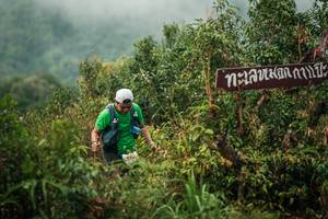 BIB: 
                            <button type="button" onclick="openModal(26335588)" class="btn btn-primary btn-sm float-right btn-popup" data-toggle="modal" data-target=".modal-high-quality">
                        <i class="fas fa-shopping-cart"></i> Add to Cart
                    </button>
                                            <button type="button" onclick="isThisMe(26335588, true)" class="btn btn-success btn-sm float-right btn-popup btn-isme hidden" data-toggle="tooltip" data-placement="bottom" title="นี่คือรูปของคุณใช่ไหม คลิกที่นี่เพื่อเอาเข้าอัลบั้ม">
                        <i class="fas fa-plus"></i> Add to album
                    </button>
                    <button type="button" onclick="isThisMe(26335588, false)" class="btn btn-warning btn-sm float-right btn-popup btn-isnotme hidden">
                        <i class="fas fa-ban"></i> Remove from album
                    </button>