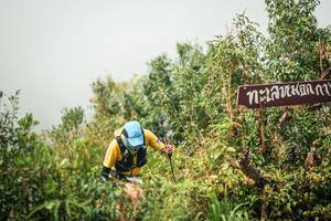 BIB: 
                            <button type="button" onclick="openModal(26335286)" class="btn btn-primary btn-sm float-right btn-popup" data-toggle="modal" data-target=".modal-high-quality">
                        <i class="fas fa-shopping-cart"></i> Add to Cart
                    </button>
                                            <button type="button" onclick="isThisMe(26335286, true)" class="btn btn-success btn-sm float-right btn-popup btn-isme hidden" data-toggle="tooltip" data-placement="bottom" title="นี่คือรูปของคุณใช่ไหม คลิกที่นี่เพื่อเอาเข้าอัลบั้ม">
                        <i class="fas fa-plus"></i> Add to album
                    </button>
                    <button type="button" onclick="isThisMe(26335286, false)" class="btn btn-warning btn-sm float-right btn-popup btn-isnotme hidden">
                        <i class="fas fa-ban"></i> Remove from album
                    </button>