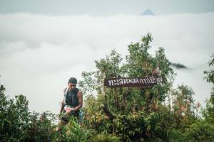 BIB: 
                            <button type="button" onclick="openModal(26325851)" class="btn btn-primary btn-sm float-right btn-popup" data-toggle="modal" data-target=".modal-high-quality">
                        <i class="fas fa-shopping-cart"></i> Add to Cart
                    </button>
                                            <button type="button" onclick="isThisMe(26325851, true)" class="btn btn-success btn-sm float-right btn-popup btn-isme hidden" data-toggle="tooltip" data-placement="bottom" title="นี่คือรูปของคุณใช่ไหม คลิกที่นี่เพื่อเอาเข้าอัลบั้ม">
                        <i class="fas fa-plus"></i> Add to album
                    </button>
                    <button type="button" onclick="isThisMe(26325851, false)" class="btn btn-warning btn-sm float-right btn-popup btn-isnotme hidden">
                        <i class="fas fa-ban"></i> Remove from album
                    </button>