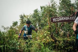 BIB: 
                            <button type="button" onclick="openModal(26334915)" class="btn btn-primary btn-sm float-right btn-popup" data-toggle="modal" data-target=".modal-high-quality">
                        <i class="fas fa-shopping-cart"></i> Add to Cart
                    </button>
                                            <button type="button" onclick="isThisMe(26334915, true)" class="btn btn-success btn-sm float-right btn-popup btn-isme hidden" data-toggle="tooltip" data-placement="bottom" title="นี่คือรูปของคุณใช่ไหม คลิกที่นี่เพื่อเอาเข้าอัลบั้ม">
                        <i class="fas fa-plus"></i> Add to album
                    </button>
                    <button type="button" onclick="isThisMe(26334915, false)" class="btn btn-warning btn-sm float-right btn-popup btn-isnotme hidden">
                        <i class="fas fa-ban"></i> Remove from album
                    </button>