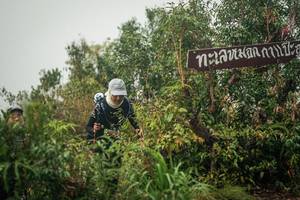 BIB: 
                            <button type="button" onclick="openModal(26335029)" class="btn btn-primary btn-sm float-right btn-popup" data-toggle="modal" data-target=".modal-high-quality">
                        <i class="fas fa-shopping-cart"></i> Add to Cart
                    </button>
                                            <button type="button" onclick="isThisMe(26335029, true)" class="btn btn-success btn-sm float-right btn-popup btn-isme hidden" data-toggle="tooltip" data-placement="bottom" title="นี่คือรูปของคุณใช่ไหม คลิกที่นี่เพื่อเอาเข้าอัลบั้ม">
                        <i class="fas fa-plus"></i> Add to album
                    </button>
                    <button type="button" onclick="isThisMe(26335029, false)" class="btn btn-warning btn-sm float-right btn-popup btn-isnotme hidden">
                        <i class="fas fa-ban"></i> Remove from album
                    </button>