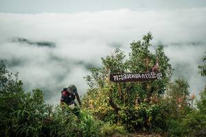 BIB: 
                            <button type="button" onclick="openModal(26329942)" class="btn btn-primary btn-sm float-right btn-popup" data-toggle="modal" data-target=".modal-high-quality">
                        <i class="fas fa-shopping-cart"></i> Add to Cart
                    </button>
                                            <button type="button" onclick="isThisMe(26329942, true)" class="btn btn-success btn-sm float-right btn-popup btn-isme hidden" data-toggle="tooltip" data-placement="bottom" title="นี่คือรูปของคุณใช่ไหม คลิกที่นี่เพื่อเอาเข้าอัลบั้ม">
                        <i class="fas fa-plus"></i> Add to album
                    </button>
                    <button type="button" onclick="isThisMe(26329942, false)" class="btn btn-warning btn-sm float-right btn-popup btn-isnotme hidden">
                        <i class="fas fa-ban"></i> Remove from album
                    </button>