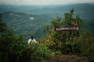 BIB: 
                            <button type="button" onclick="openModal(26308013)" class="btn btn-primary btn-sm float-right btn-popup" data-toggle="modal" data-target=".modal-high-quality">
                        <i class="fas fa-shopping-cart"></i> Add to Cart
                    </button>
                                            <button type="button" onclick="isThisMe(26308013, true)" class="btn btn-success btn-sm float-right btn-popup btn-isme hidden" data-toggle="tooltip" data-placement="bottom" title="นี่คือรูปของคุณใช่ไหม คลิกที่นี่เพื่อเอาเข้าอัลบั้ม">
                        <i class="fas fa-plus"></i> Add to album
                    </button>
                    <button type="button" onclick="isThisMe(26308013, false)" class="btn btn-warning btn-sm float-right btn-popup btn-isnotme hidden">
                        <i class="fas fa-ban"></i> Remove from album
                    </button>