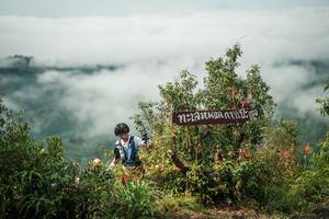 BIB: 
                            <button type="button" onclick="openModal(26330819)" class="btn btn-primary btn-sm float-right btn-popup" data-toggle="modal" data-target=".modal-high-quality">
                        <i class="fas fa-shopping-cart"></i> Add to Cart
                    </button>
                                            <button type="button" onclick="isThisMe(26330819, true)" class="btn btn-success btn-sm float-right btn-popup btn-isme hidden" data-toggle="tooltip" data-placement="bottom" title="นี่คือรูปของคุณใช่ไหม คลิกที่นี่เพื่อเอาเข้าอัลบั้ม">
                        <i class="fas fa-plus"></i> Add to album
                    </button>
                    <button type="button" onclick="isThisMe(26330819, false)" class="btn btn-warning btn-sm float-right btn-popup btn-isnotme hidden">
                        <i class="fas fa-ban"></i> Remove from album
                    </button>