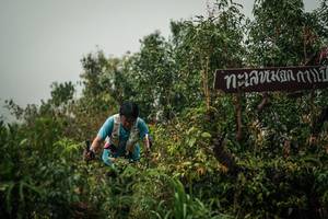 BIB: 
                            <button type="button" onclick="openModal(26334785)" class="btn btn-primary btn-sm float-right btn-popup" data-toggle="modal" data-target=".modal-high-quality">
                        <i class="fas fa-shopping-cart"></i> Add to Cart
                    </button>
                                            <button type="button" onclick="isThisMe(26334785, true)" class="btn btn-success btn-sm float-right btn-popup btn-isme hidden" data-toggle="tooltip" data-placement="bottom" title="นี่คือรูปของคุณใช่ไหม คลิกที่นี่เพื่อเอาเข้าอัลบั้ม">
                        <i class="fas fa-plus"></i> Add to album
                    </button>
                    <button type="button" onclick="isThisMe(26334785, false)" class="btn btn-warning btn-sm float-right btn-popup btn-isnotme hidden">
                        <i class="fas fa-ban"></i> Remove from album
                    </button>