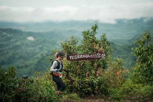 BIB: 
                            <button type="button" onclick="openModal(26336401)" class="btn btn-primary btn-sm float-right btn-popup" data-toggle="modal" data-target=".modal-high-quality">
                        <i class="fas fa-shopping-cart"></i> Add to Cart
                    </button>
                                            <button type="button" onclick="isThisMe(26336401, true)" class="btn btn-success btn-sm float-right btn-popup btn-isme hidden" data-toggle="tooltip" data-placement="bottom" title="นี่คือรูปของคุณใช่ไหม คลิกที่นี่เพื่อเอาเข้าอัลบั้ม">
                        <i class="fas fa-plus"></i> Add to album
                    </button>
                    <button type="button" onclick="isThisMe(26336401, false)" class="btn btn-warning btn-sm float-right btn-popup btn-isnotme hidden">
                        <i class="fas fa-ban"></i> Remove from album
                    </button>