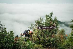 BIB: 
                            <button type="button" onclick="openModal(26329580)" class="btn btn-primary btn-sm float-right btn-popup" data-toggle="modal" data-target=".modal-high-quality">
                        <i class="fas fa-shopping-cart"></i> Add to Cart
                    </button>
                                            <button type="button" onclick="isThisMe(26329580, true)" class="btn btn-success btn-sm float-right btn-popup btn-isme hidden" data-toggle="tooltip" data-placement="bottom" title="นี่คือรูปของคุณใช่ไหม คลิกที่นี่เพื่อเอาเข้าอัลบั้ม">
                        <i class="fas fa-plus"></i> Add to album
                    </button>
                    <button type="button" onclick="isThisMe(26329580, false)" class="btn btn-warning btn-sm float-right btn-popup btn-isnotme hidden">
                        <i class="fas fa-ban"></i> Remove from album
                    </button>