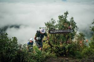 BIB: 
                            <button type="button" onclick="openModal(26327508)" class="btn btn-primary btn-sm float-right btn-popup" data-toggle="modal" data-target=".modal-high-quality">
                        <i class="fas fa-shopping-cart"></i> Add to Cart
                    </button>
                                            <button type="button" onclick="isThisMe(26327508, true)" class="btn btn-success btn-sm float-right btn-popup btn-isme hidden" data-toggle="tooltip" data-placement="bottom" title="นี่คือรูปของคุณใช่ไหม คลิกที่นี่เพื่อเอาเข้าอัลบั้ม">
                        <i class="fas fa-plus"></i> Add to album
                    </button>
                    <button type="button" onclick="isThisMe(26327508, false)" class="btn btn-warning btn-sm float-right btn-popup btn-isnotme hidden">
                        <i class="fas fa-ban"></i> Remove from album
                    </button>