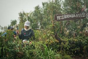 BIB: 
                            <button type="button" onclick="openModal(26335032)" class="btn btn-primary btn-sm float-right btn-popup" data-toggle="modal" data-target=".modal-high-quality">
                        <i class="fas fa-shopping-cart"></i> Add to Cart
                    </button>
                                            <button type="button" onclick="isThisMe(26335032, true)" class="btn btn-success btn-sm float-right btn-popup btn-isme hidden" data-toggle="tooltip" data-placement="bottom" title="นี่คือรูปของคุณใช่ไหม คลิกที่นี่เพื่อเอาเข้าอัลบั้ม">
                        <i class="fas fa-plus"></i> Add to album
                    </button>
                    <button type="button" onclick="isThisMe(26335032, false)" class="btn btn-warning btn-sm float-right btn-popup btn-isnotme hidden">
                        <i class="fas fa-ban"></i> Remove from album
                    </button>