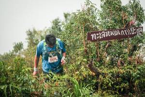 BIB: 
                            <button type="button" onclick="openModal(26335235)" class="btn btn-primary btn-sm float-right btn-popup" data-toggle="modal" data-target=".modal-high-quality">
                        <i class="fas fa-shopping-cart"></i> Add to Cart
                    </button>
                                            <button type="button" onclick="isThisMe(26335235, true)" class="btn btn-success btn-sm float-right btn-popup btn-isme hidden" data-toggle="tooltip" data-placement="bottom" title="นี่คือรูปของคุณใช่ไหม คลิกที่นี่เพื่อเอาเข้าอัลบั้ม">
                        <i class="fas fa-plus"></i> Add to album
                    </button>
                    <button type="button" onclick="isThisMe(26335235, false)" class="btn btn-warning btn-sm float-right btn-popup btn-isnotme hidden">
                        <i class="fas fa-ban"></i> Remove from album
                    </button>