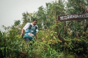 BIB: 
                            <button type="button" onclick="openModal(26334881)" class="btn btn-primary btn-sm float-right btn-popup" data-toggle="modal" data-target=".modal-high-quality">
                        <i class="fas fa-shopping-cart"></i> Add to Cart
                    </button>
                                            <button type="button" onclick="isThisMe(26334881, true)" class="btn btn-success btn-sm float-right btn-popup btn-isme hidden" data-toggle="tooltip" data-placement="bottom" title="นี่คือรูปของคุณใช่ไหม คลิกที่นี่เพื่อเอาเข้าอัลบั้ม">
                        <i class="fas fa-plus"></i> Add to album
                    </button>
                    <button type="button" onclick="isThisMe(26334881, false)" class="btn btn-warning btn-sm float-right btn-popup btn-isnotme hidden">
                        <i class="fas fa-ban"></i> Remove from album
                    </button>