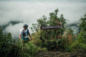 BIB: 
                            <button type="button" onclick="openModal(26327686)" class="btn btn-primary btn-sm float-right btn-popup" data-toggle="modal" data-target=".modal-high-quality">
                        <i class="fas fa-shopping-cart"></i> Add to Cart
                    </button>
                                            <button type="button" onclick="isThisMe(26327686, true)" class="btn btn-success btn-sm float-right btn-popup btn-isme hidden" data-toggle="tooltip" data-placement="bottom" title="นี่คือรูปของคุณใช่ไหม คลิกที่นี่เพื่อเอาเข้าอัลบั้ม">
                        <i class="fas fa-plus"></i> Add to album
                    </button>
                    <button type="button" onclick="isThisMe(26327686, false)" class="btn btn-warning btn-sm float-right btn-popup btn-isnotme hidden">
                        <i class="fas fa-ban"></i> Remove from album
                    </button>