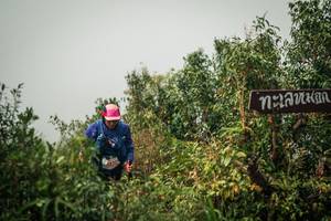 BIB: 
                            <button type="button" onclick="openModal(26334570)" class="btn btn-primary btn-sm float-right btn-popup" data-toggle="modal" data-target=".modal-high-quality">
                        <i class="fas fa-shopping-cart"></i> Add to Cart
                    </button>
                                            <button type="button" onclick="isThisMe(26334570, true)" class="btn btn-success btn-sm float-right btn-popup btn-isme hidden" data-toggle="tooltip" data-placement="bottom" title="นี่คือรูปของคุณใช่ไหม คลิกที่นี่เพื่อเอาเข้าอัลบั้ม">
                        <i class="fas fa-plus"></i> Add to album
                    </button>
                    <button type="button" onclick="isThisMe(26334570, false)" class="btn btn-warning btn-sm float-right btn-popup btn-isnotme hidden">
                        <i class="fas fa-ban"></i> Remove from album
                    </button>