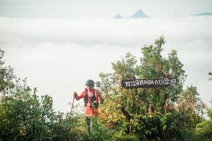 BIB: 
                            <button type="button" onclick="openModal(26323734)" class="btn btn-primary btn-sm float-right btn-popup" data-toggle="modal" data-target=".modal-high-quality">
                        <i class="fas fa-shopping-cart"></i> Add to Cart
                    </button>
                                            <button type="button" onclick="isThisMe(26323734, true)" class="btn btn-success btn-sm float-right btn-popup btn-isme hidden" data-toggle="tooltip" data-placement="bottom" title="นี่คือรูปของคุณใช่ไหม คลิกที่นี่เพื่อเอาเข้าอัลบั้ม">
                        <i class="fas fa-plus"></i> Add to album
                    </button>
                    <button type="button" onclick="isThisMe(26323734, false)" class="btn btn-warning btn-sm float-right btn-popup btn-isnotme hidden">
                        <i class="fas fa-ban"></i> Remove from album
                    </button>