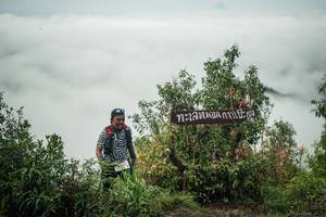 BIB: 
                            <button type="button" onclick="openModal(26328590)" class="btn btn-primary btn-sm float-right btn-popup" data-toggle="modal" data-target=".modal-high-quality">
                        <i class="fas fa-shopping-cart"></i> Add to Cart
                    </button>
                                            <button type="button" onclick="isThisMe(26328590, true)" class="btn btn-success btn-sm float-right btn-popup btn-isme hidden" data-toggle="tooltip" data-placement="bottom" title="นี่คือรูปของคุณใช่ไหม คลิกที่นี่เพื่อเอาเข้าอัลบั้ม">
                        <i class="fas fa-plus"></i> Add to album
                    </button>
                    <button type="button" onclick="isThisMe(26328590, false)" class="btn btn-warning btn-sm float-right btn-popup btn-isnotme hidden">
                        <i class="fas fa-ban"></i> Remove from album
                    </button>