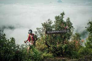 BIB: 
                            <button type="button" onclick="openModal(26327427)" class="btn btn-primary btn-sm float-right btn-popup" data-toggle="modal" data-target=".modal-high-quality">
                        <i class="fas fa-shopping-cart"></i> Add to Cart
                    </button>
                                            <button type="button" onclick="isThisMe(26327427, true)" class="btn btn-success btn-sm float-right btn-popup btn-isme hidden" data-toggle="tooltip" data-placement="bottom" title="นี่คือรูปของคุณใช่ไหม คลิกที่นี่เพื่อเอาเข้าอัลบั้ม">
                        <i class="fas fa-plus"></i> Add to album
                    </button>
                    <button type="button" onclick="isThisMe(26327427, false)" class="btn btn-warning btn-sm float-right btn-popup btn-isnotme hidden">
                        <i class="fas fa-ban"></i> Remove from album
                    </button>