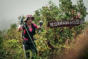 BIB: 
                            <button type="button" onclick="openModal(26334465)" class="btn btn-primary btn-sm float-right btn-popup" data-toggle="modal" data-target=".modal-high-quality">
                        <i class="fas fa-shopping-cart"></i> Add to Cart
                    </button>
                                            <button type="button" onclick="isThisMe(26334465, true)" class="btn btn-success btn-sm float-right btn-popup btn-isme hidden" data-toggle="tooltip" data-placement="bottom" title="นี่คือรูปของคุณใช่ไหม คลิกที่นี่เพื่อเอาเข้าอัลบั้ม">
                        <i class="fas fa-plus"></i> Add to album
                    </button>
                    <button type="button" onclick="isThisMe(26334465, false)" class="btn btn-warning btn-sm float-right btn-popup btn-isnotme hidden">
                        <i class="fas fa-ban"></i> Remove from album
                    </button>