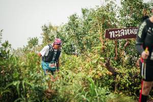 BIB: 
                            <button type="button" onclick="openModal(26335176)" class="btn btn-primary btn-sm float-right btn-popup" data-toggle="modal" data-target=".modal-high-quality">
                        <i class="fas fa-shopping-cart"></i> Add to Cart
                    </button>
                                            <button type="button" onclick="isThisMe(26335176, true)" class="btn btn-success btn-sm float-right btn-popup btn-isme hidden" data-toggle="tooltip" data-placement="bottom" title="นี่คือรูปของคุณใช่ไหม คลิกที่นี่เพื่อเอาเข้าอัลบั้ม">
                        <i class="fas fa-plus"></i> Add to album
                    </button>
                    <button type="button" onclick="isThisMe(26335176, false)" class="btn btn-warning btn-sm float-right btn-popup btn-isnotme hidden">
                        <i class="fas fa-ban"></i> Remove from album
                    </button>