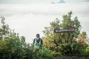 BIB: 
                            <button type="button" onclick="openModal(26323856)" class="btn btn-primary btn-sm float-right btn-popup" data-toggle="modal" data-target=".modal-high-quality">
                        <i class="fas fa-shopping-cart"></i> Add to Cart
                    </button>
                                            <button type="button" onclick="isThisMe(26323856, true)" class="btn btn-success btn-sm float-right btn-popup btn-isme hidden" data-toggle="tooltip" data-placement="bottom" title="นี่คือรูปของคุณใช่ไหม คลิกที่นี่เพื่อเอาเข้าอัลบั้ม">
                        <i class="fas fa-plus"></i> Add to album
                    </button>
                    <button type="button" onclick="isThisMe(26323856, false)" class="btn btn-warning btn-sm float-right btn-popup btn-isnotme hidden">
                        <i class="fas fa-ban"></i> Remove from album
                    </button>