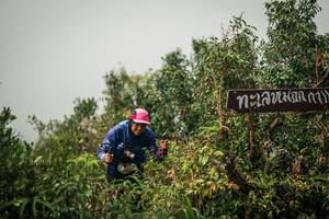 BIB: 
                            <button type="button" onclick="openModal(26334576)" class="btn btn-primary btn-sm float-right btn-popup" data-toggle="modal" data-target=".modal-high-quality">
                        <i class="fas fa-shopping-cart"></i> Add to Cart
                    </button>
                                            <button type="button" onclick="isThisMe(26334576, true)" class="btn btn-success btn-sm float-right btn-popup btn-isme hidden" data-toggle="tooltip" data-placement="bottom" title="นี่คือรูปของคุณใช่ไหม คลิกที่นี่เพื่อเอาเข้าอัลบั้ม">
                        <i class="fas fa-plus"></i> Add to album
                    </button>
                    <button type="button" onclick="isThisMe(26334576, false)" class="btn btn-warning btn-sm float-right btn-popup btn-isnotme hidden">
                        <i class="fas fa-ban"></i> Remove from album
                    </button>