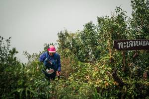 BIB: 
                            <button type="button" onclick="openModal(26334568)" class="btn btn-primary btn-sm float-right btn-popup" data-toggle="modal" data-target=".modal-high-quality">
                        <i class="fas fa-shopping-cart"></i> Add to Cart
                    </button>
                                            <button type="button" onclick="isThisMe(26334568, true)" class="btn btn-success btn-sm float-right btn-popup btn-isme hidden" data-toggle="tooltip" data-placement="bottom" title="นี่คือรูปของคุณใช่ไหม คลิกที่นี่เพื่อเอาเข้าอัลบั้ม">
                        <i class="fas fa-plus"></i> Add to album
                    </button>
                    <button type="button" onclick="isThisMe(26334568, false)" class="btn btn-warning btn-sm float-right btn-popup btn-isnotme hidden">
                        <i class="fas fa-ban"></i> Remove from album
                    </button>