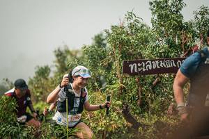 BIB: 
                            <button type="button" onclick="openModal(26334619)" class="btn btn-primary btn-sm float-right btn-popup" data-toggle="modal" data-target=".modal-high-quality">
                        <i class="fas fa-shopping-cart"></i> Add to Cart
                    </button>
                                            <button type="button" onclick="isThisMe(26334619, true)" class="btn btn-success btn-sm float-right btn-popup btn-isme hidden" data-toggle="tooltip" data-placement="bottom" title="นี่คือรูปของคุณใช่ไหม คลิกที่นี่เพื่อเอาเข้าอัลบั้ม">
                        <i class="fas fa-plus"></i> Add to album
                    </button>
                    <button type="button" onclick="isThisMe(26334619, false)" class="btn btn-warning btn-sm float-right btn-popup btn-isnotme hidden">
                        <i class="fas fa-ban"></i> Remove from album
                    </button>