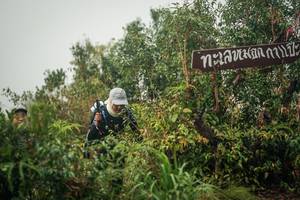 BIB: 
                            <button type="button" onclick="openModal(26335028)" class="btn btn-primary btn-sm float-right btn-popup" data-toggle="modal" data-target=".modal-high-quality">
                        <i class="fas fa-shopping-cart"></i> Add to Cart
                    </button>
                                            <button type="button" onclick="isThisMe(26335028, true)" class="btn btn-success btn-sm float-right btn-popup btn-isme hidden" data-toggle="tooltip" data-placement="bottom" title="นี่คือรูปของคุณใช่ไหม คลิกที่นี่เพื่อเอาเข้าอัลบั้ม">
                        <i class="fas fa-plus"></i> Add to album
                    </button>
                    <button type="button" onclick="isThisMe(26335028, false)" class="btn btn-warning btn-sm float-right btn-popup btn-isnotme hidden">
                        <i class="fas fa-ban"></i> Remove from album
                    </button>