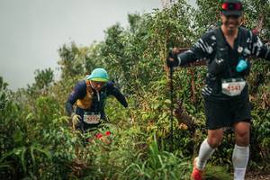 BIB: 
                            <button type="button" onclick="openModal(26335865)" class="btn btn-primary btn-sm float-right btn-popup" data-toggle="modal" data-target=".modal-high-quality">
                        <i class="fas fa-shopping-cart"></i> Add to Cart
                    </button>
                                            <button type="button" onclick="isThisMe(26335865, true)" class="btn btn-success btn-sm float-right btn-popup btn-isme hidden" data-toggle="tooltip" data-placement="bottom" title="นี่คือรูปของคุณใช่ไหม คลิกที่นี่เพื่อเอาเข้าอัลบั้ม">
                        <i class="fas fa-plus"></i> Add to album
                    </button>
                    <button type="button" onclick="isThisMe(26335865, false)" class="btn btn-warning btn-sm float-right btn-popup btn-isnotme hidden">
                        <i class="fas fa-ban"></i> Remove from album
                    </button>