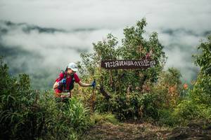 BIB: 
                            <button type="button" onclick="openModal(26330644)" class="btn btn-primary btn-sm float-right btn-popup" data-toggle="modal" data-target=".modal-high-quality">
                        <i class="fas fa-shopping-cart"></i> Add to Cart
                    </button>
                                            <button type="button" onclick="isThisMe(26330644, true)" class="btn btn-success btn-sm float-right btn-popup btn-isme hidden" data-toggle="tooltip" data-placement="bottom" title="นี่คือรูปของคุณใช่ไหม คลิกที่นี่เพื่อเอาเข้าอัลบั้ม">
                        <i class="fas fa-plus"></i> Add to album
                    </button>
                    <button type="button" onclick="isThisMe(26330644, false)" class="btn btn-warning btn-sm float-right btn-popup btn-isnotme hidden">
                        <i class="fas fa-ban"></i> Remove from album
                    </button>